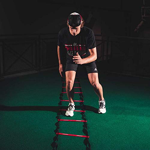 Échelle d'agilité Hockeyshot